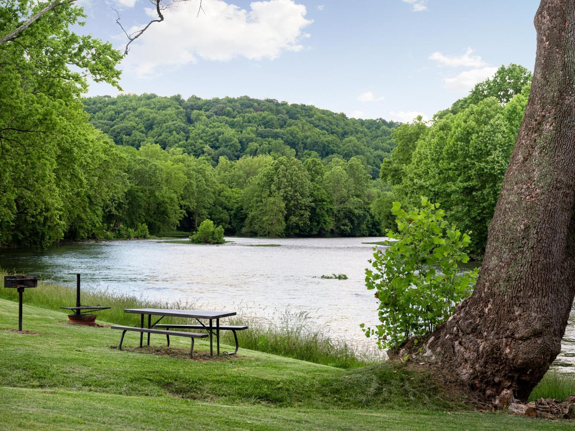 Shenandoah Dog Friendly Cabin With River Access, Hot Tub, Fire Pit, Bbq, Outdoor Dining 谢南多厄 外观 照片